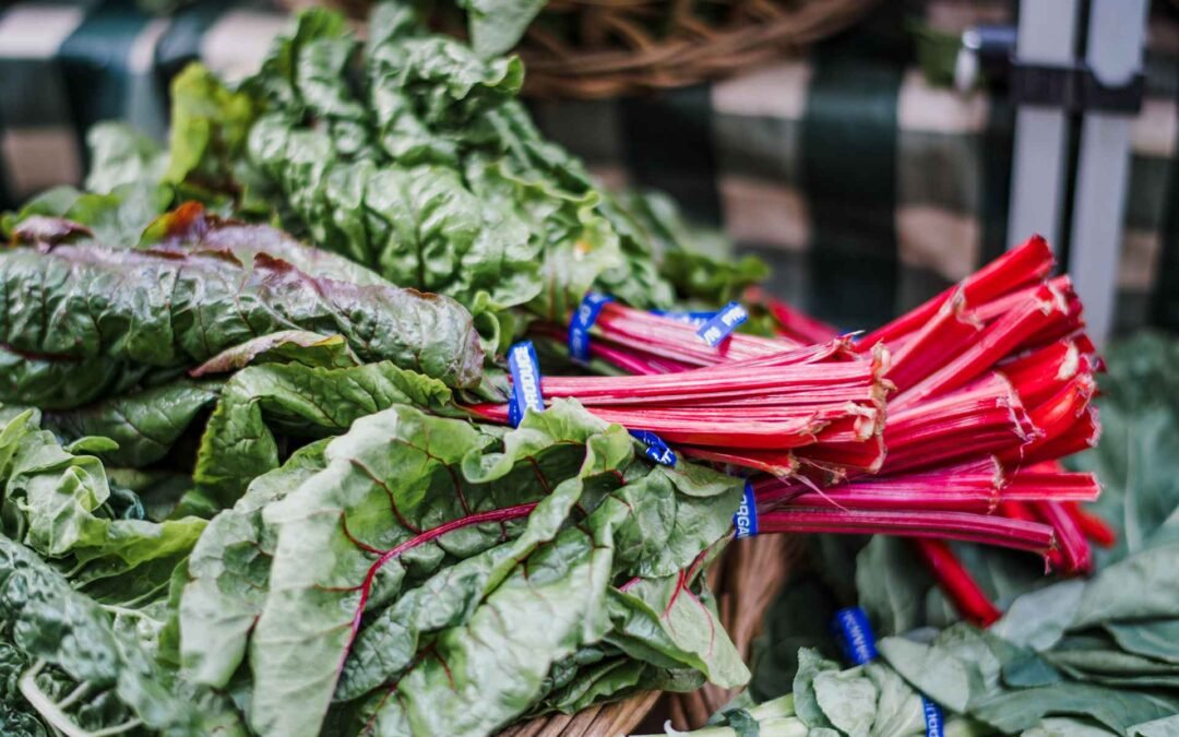 Project 7 : Lorem Ipsum Dummy Text