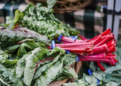 Project 7 : Lorem Ipsum Dummy Text