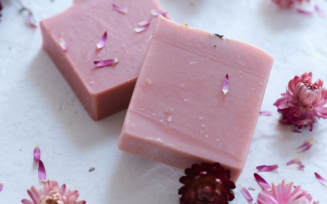 Project 8 : Lorem Ipsum Dummy Text