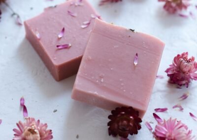 Project 8 : Lorem Ipsum Dummy Text